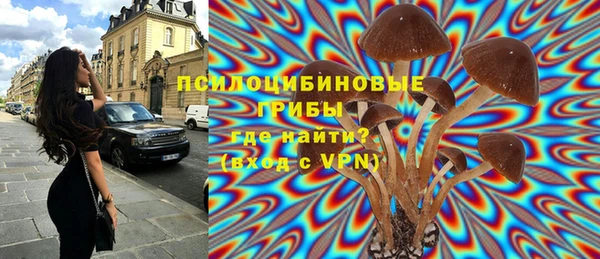 гидра Усолье-Сибирское