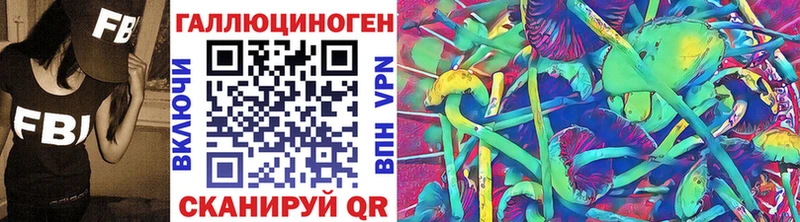 Псилоцибиновые грибы прущие грибы  Шлиссельбург 